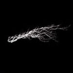 Pure Noise - Exp. de Vol. 7