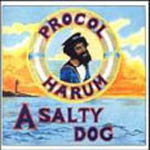 A Salty Dog